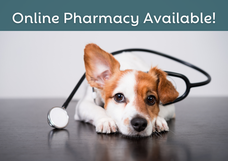 Carousel Slide 1: Check out our new and improved online pharmacy